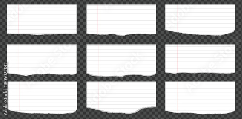 Realistic torn paper collection.ripped pieces of white color paper.Torn pieces of paper,text clippings, checkered notebook sheets.
