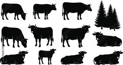 Silhouettes of cows standing and resting, cattle herd farm animals with forest pine trees, livestock illustration for ranch, agriculture and countryside design