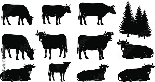 Silhouettes of cows standing and resting, cattle herd farm animals with pine trees, livestock illustration for agriculture, ranch and countryside design