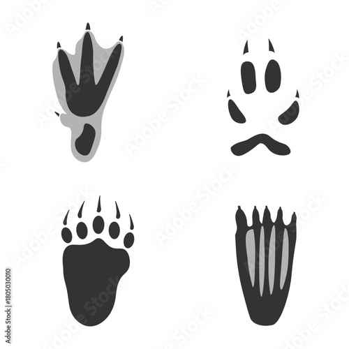 Footprints of  Animal, Traces of a Seal, Bear, Fox, Penguin on white background.  Silhouette animal tracks in gray. Paw Print for your  design. Vector illustration. EPS10.