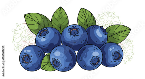 Fresh blueberries with green leaves and decorative elements on a white background.