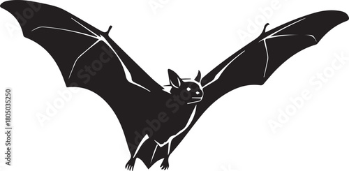 Silhouette of a single bat with outstretched wings flying gracefully in the air