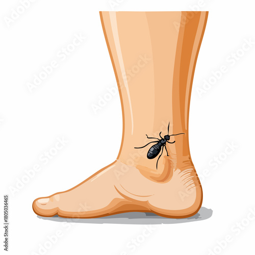 A small, healing scab forming over a deep mosquito bite on the ankle, exhibiting dark, dry edges.