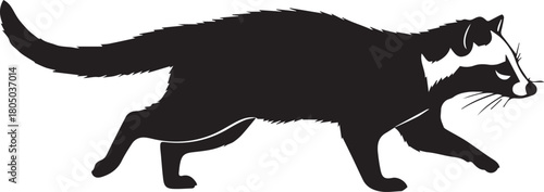 Silhouette of a walking civet cat animal with distinctive facial markings in profile view