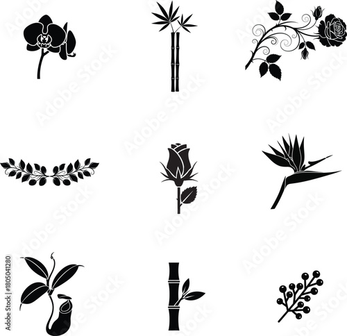 Collection of black and white floral and botanical silhouettes