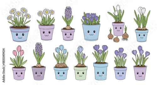A charming collection of potted spring flowers with cute faces