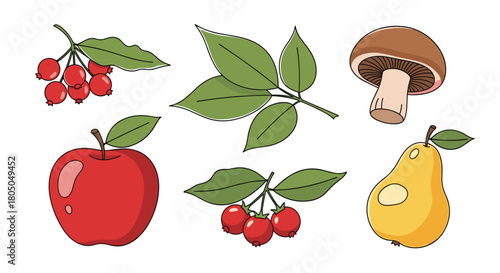 A colorful assortment of fresh forest fruits and a savory mushroom for healthy eating.