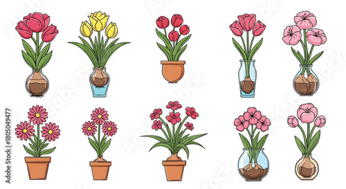 A collection of potted and vase-arranged blooming flowers in various colors and containers.