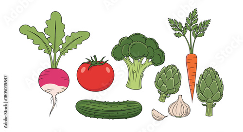 A colorful assortment of fresh vegetables including radish tomato broccoli artichokes cucumber garlic and carrots.