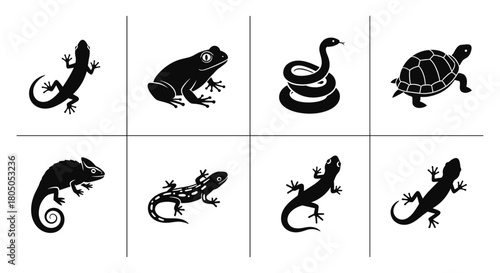 Silhouette set of reptiles and amphibians: lizards, frogs, snakes, and turtles