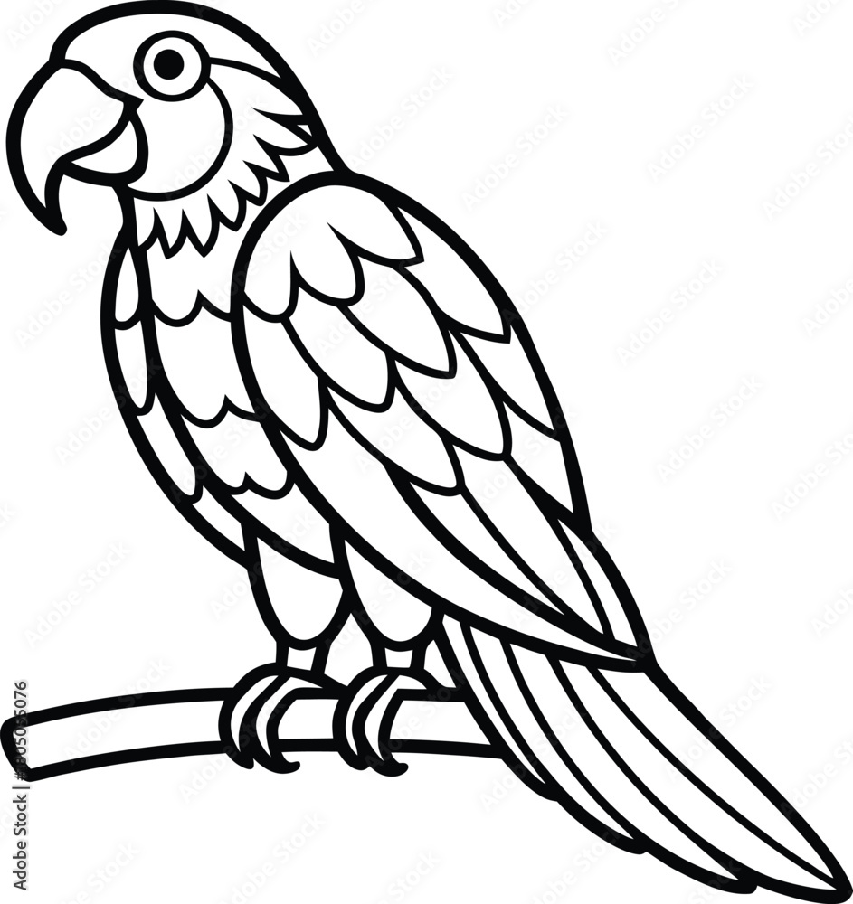 Fototapeta premium Parrot outline drawing Vector