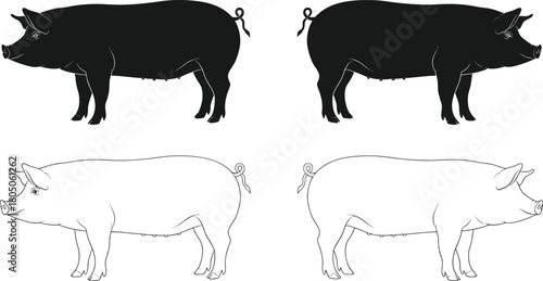 Illustrated pigs in black and white for various design projects