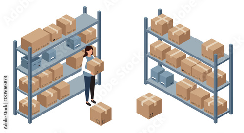 Isometric warehouse shelving with worker handling boxes in storage area