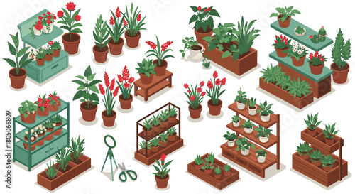 Diverse indoor and outdoor plant collection in isometric style for gardening enthusiasts