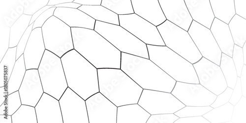 Black and white fishing net or soccer net. Repeating hexagon pattern. modern.