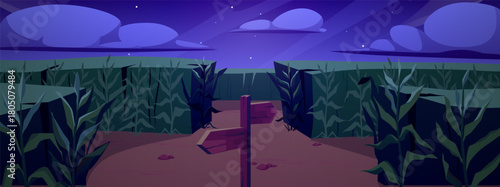 Night background with a cornfield, a fork in the road, a wooden sign, clouds, and stars.