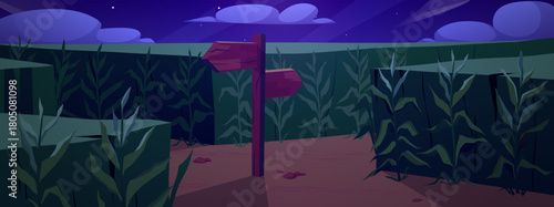 Corn field at night with wooden road pointers and high maize plant stems, vector cartoon choice of way, labyrinth, maze