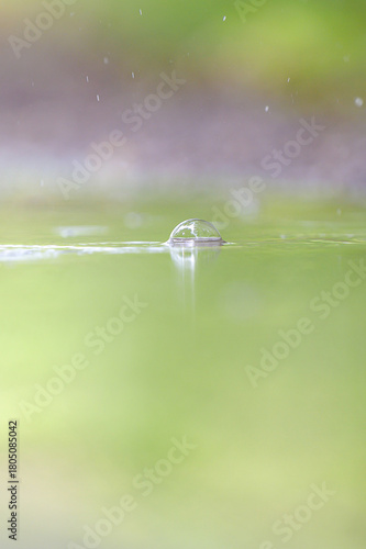 Minimalistic nature close-up of a single raindrop bubble resting on a calm green water surface. Clean, soft tones and generous copy space.