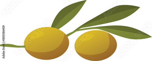A branch with leaves and green olives, icon on an isolated background.