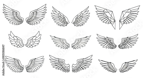 Wing outlines collection with transparent background