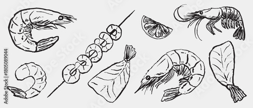 Hand drawn shrimp fish fillets, skewer, lemon wedge, and garnish. Tasty seafood. Vector sketch illustration in vintage crayon charcoal style.