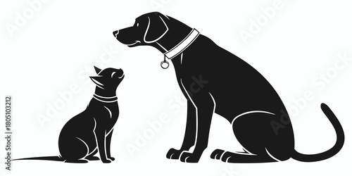 cat and dog