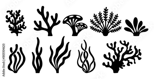 Sillhoutte illustrations of various types of coral and seaweed.