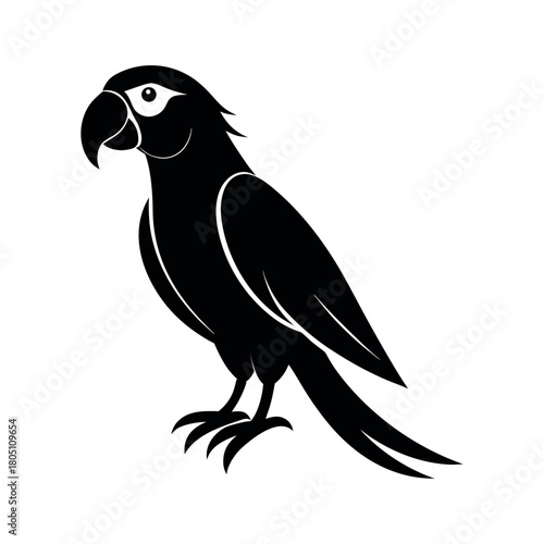Macaw Bird Black Silhouette Line Art Vector Illustration
