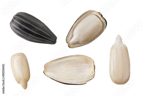 Sunflower seeds isolated on white background. Top view. Flat lay