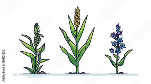 Vector illustration of diverse plants showing growth: a young cereal crop, mature wheat, and a vibrant blue flowering plant.