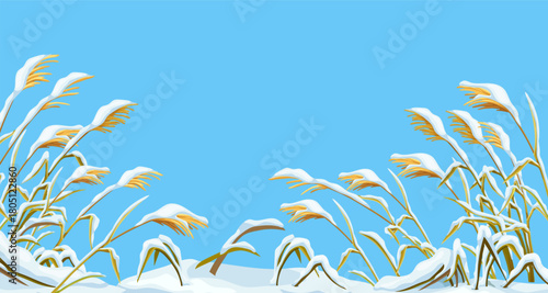 Marsh reed, grass under snow. Swamp cattails winter. Broken weed and snowdrifts. Vector winter background bulrush for design, printing, computer games.