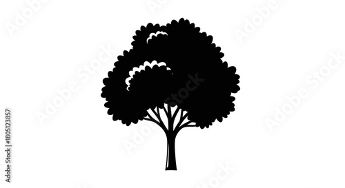 Silhouette of a tree with a full, rounded crown, set against a plain white background.