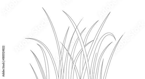 A simple line art drawing of a clump of grass blades on a white background, illustrating natural growth.