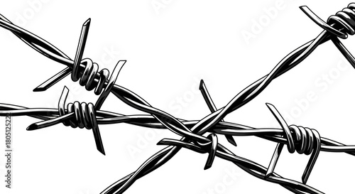 Close-up of intertwined barbed wire, showcasing sharp metal spikes against a white background.