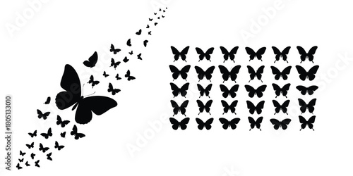 Collection of black silhouette butterflies flying and arranged in a grid pattern.