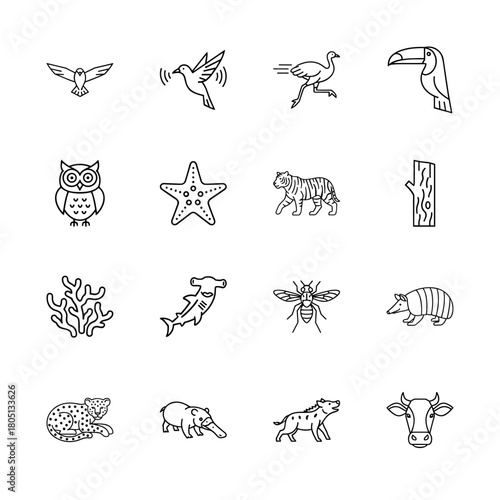 Animals and wildlife line icon set. Vector pictograms of eagle, hummingbird, ostrich, tiger, shark, leopard, armadillo, coral, thin linear illustration.