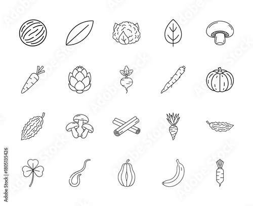 Grocery food line icon set. Vector pictograms of fruits, vegetables, and spices including carrot, pumpkin, mushroom, banana, walnut, artichoke, and cinnamon, thin linear illustration.
