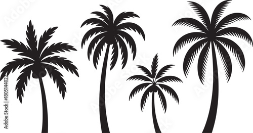 Black Silhouette Palm Trees Against White Background tropical nature