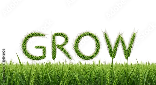 The word grow spelled out with green wheat stalks and leaves in a grassy field isolated on white background