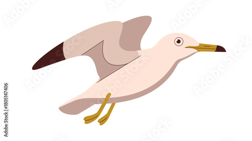 A single seagull with its wings spread is depicted in a stylized illustration against a white background.