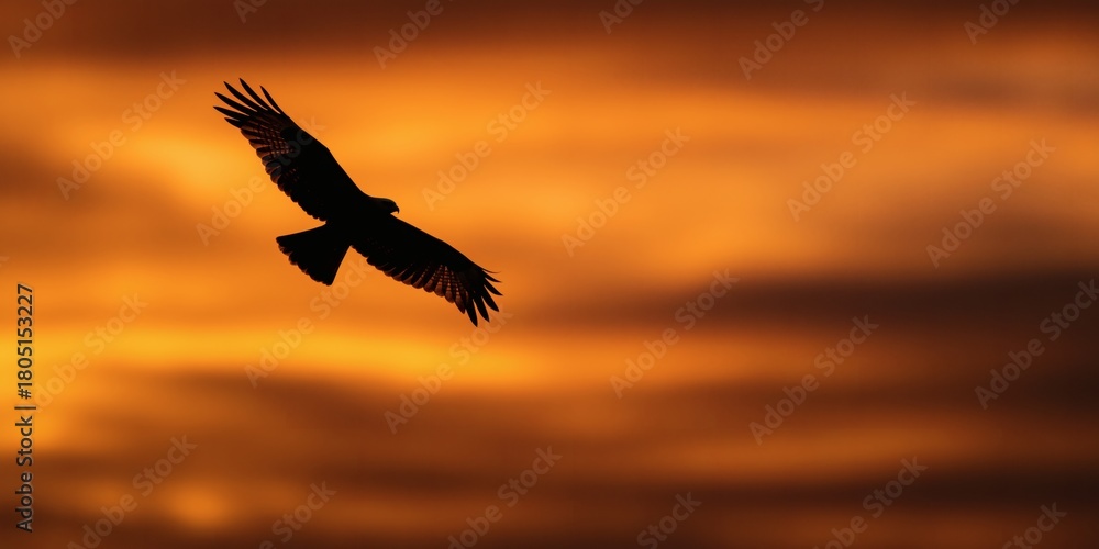 Naklejka premium A solitary bird soars against a vibrant orange sunset backdrop.