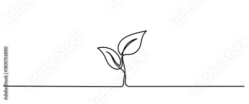 Leaves continuous line drawing. Plant branch one line art. Vector illustration isolated on white. leaf line vector
