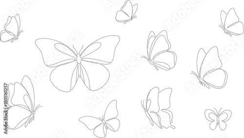 Collection of delicate line art butterflies in various sizes and poses against a clean white background