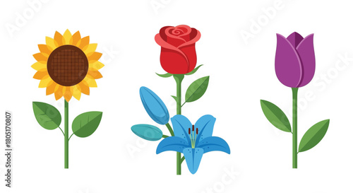 A colorful arrangement of a sunflower rose lily and tulip illustration