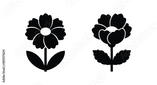 Simple black and white illustration of two flowers with detailed petals