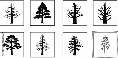 Conifer Tree Icon Set Vector Black Silhouettes in Frames Representing Dead Snags, Full Pines, and Forestry Symbols for Signs and Logos