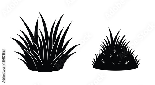 Simple black and white illustration of two spiky desert plants