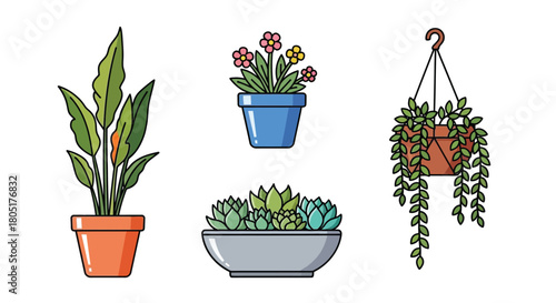 Colorful potted plants and a hanging basket a charming indoor garden scene