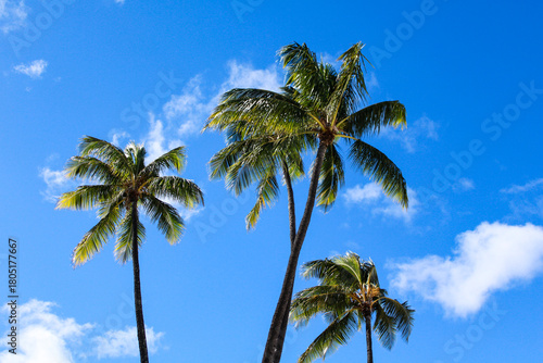 Wallpaper Mural Hawaiian Sky Torontodigital.ca