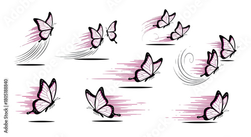 Flying butterflies motion with transparent background